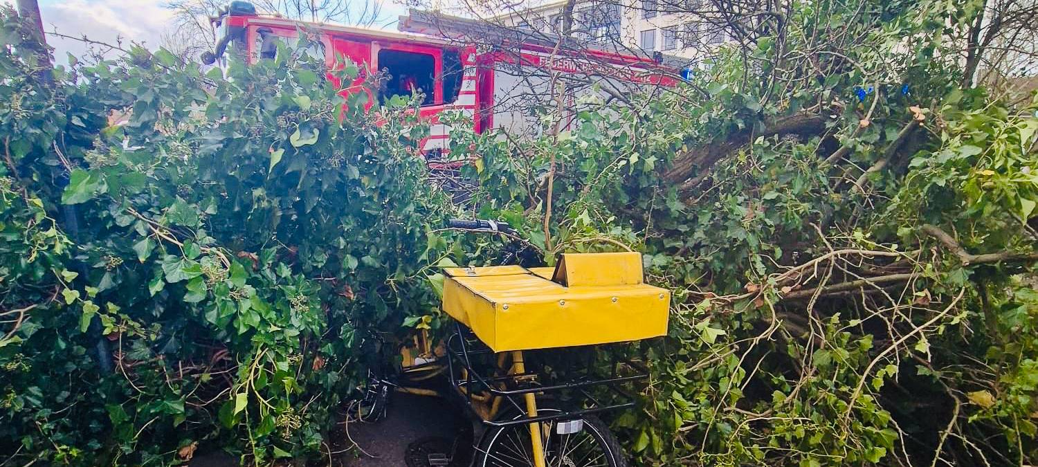 Sturmfront in Bochum: Über 90 Einsätze der Feuerwehr
