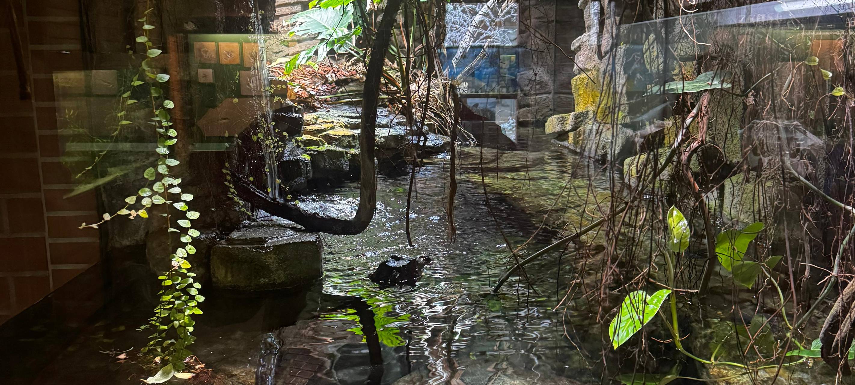 Inventur im Tierpark Bochum