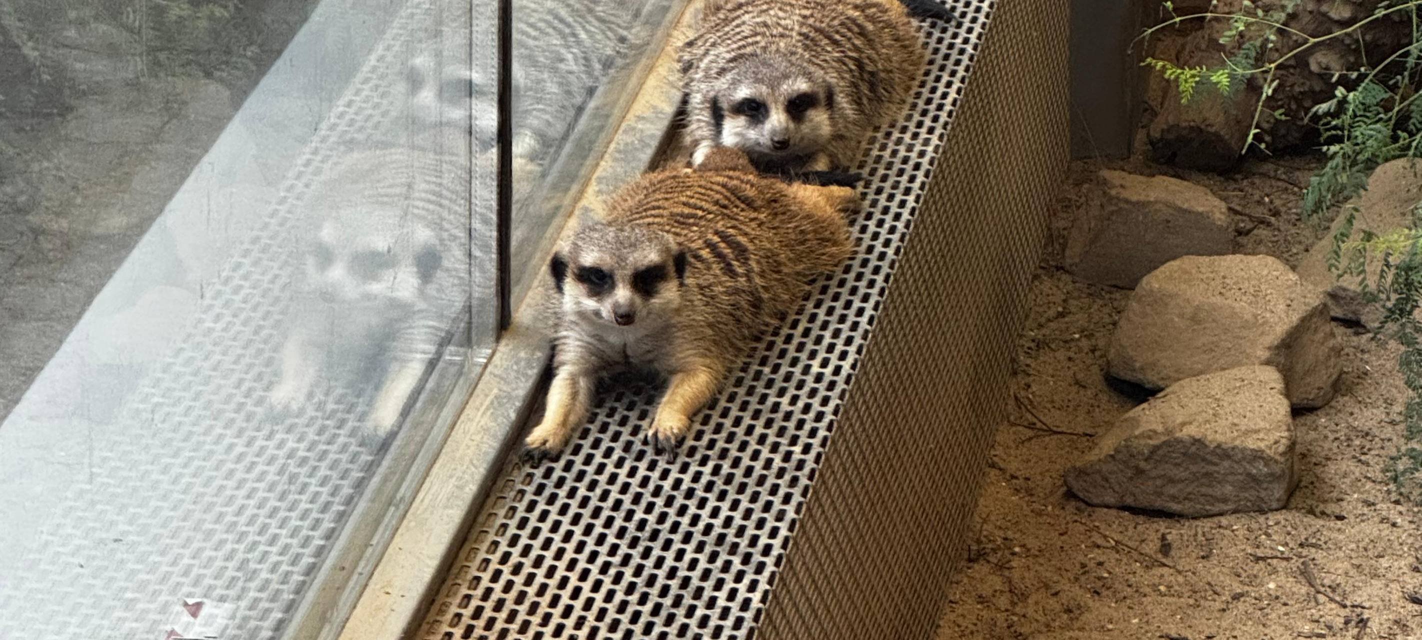 Inventur im Tierpark Bochum