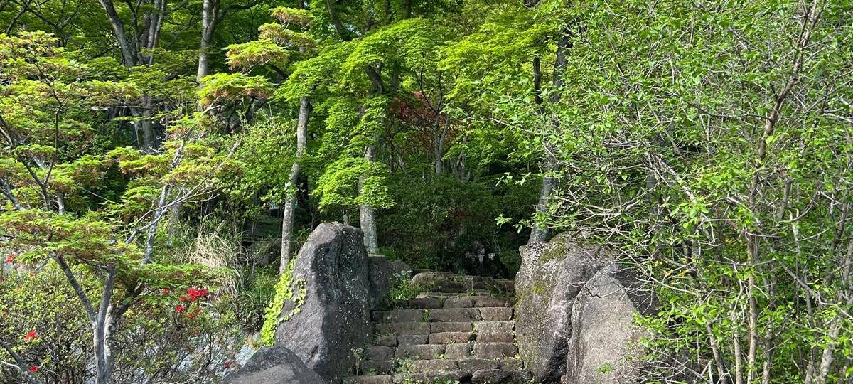 Anuschka Fritzsche in Japan