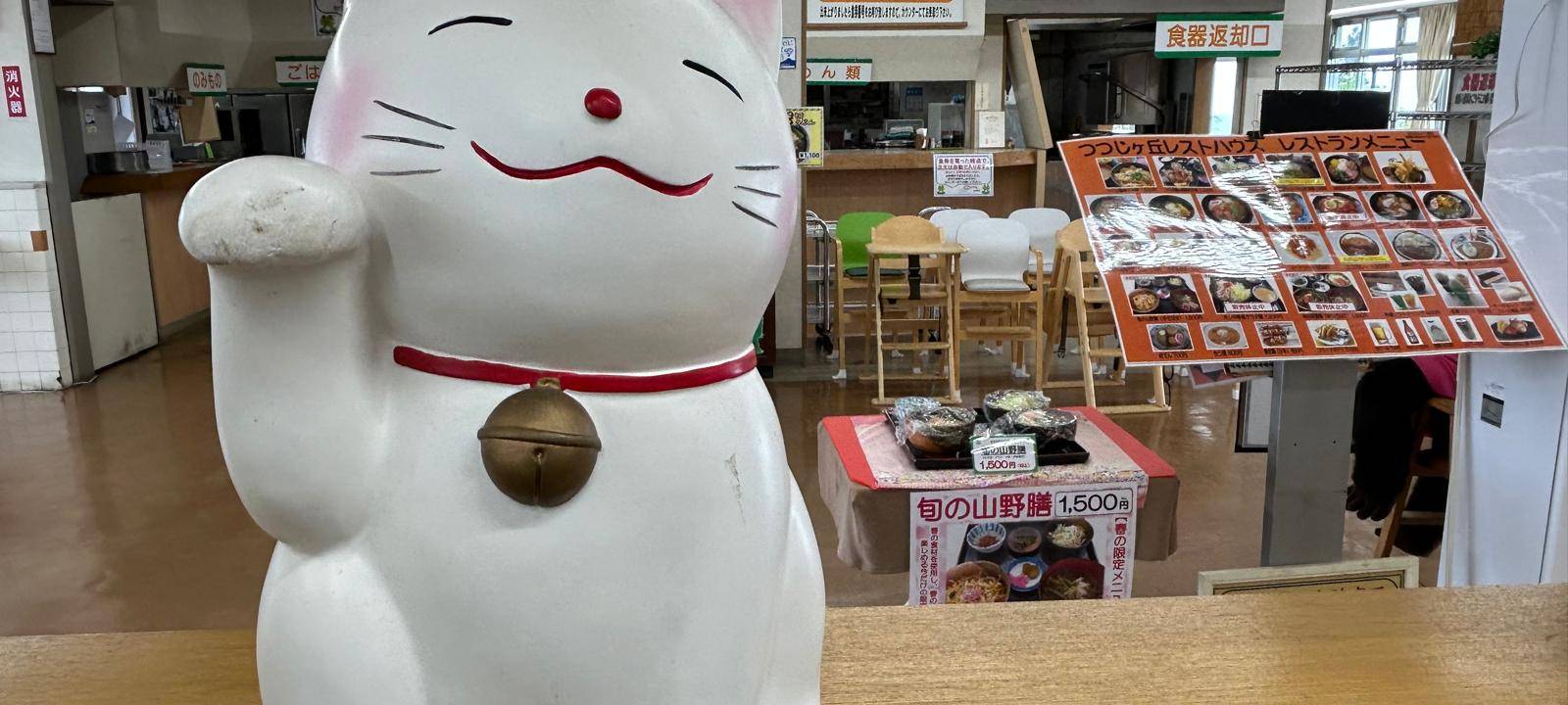 Anuschka Fritzsche in Japan