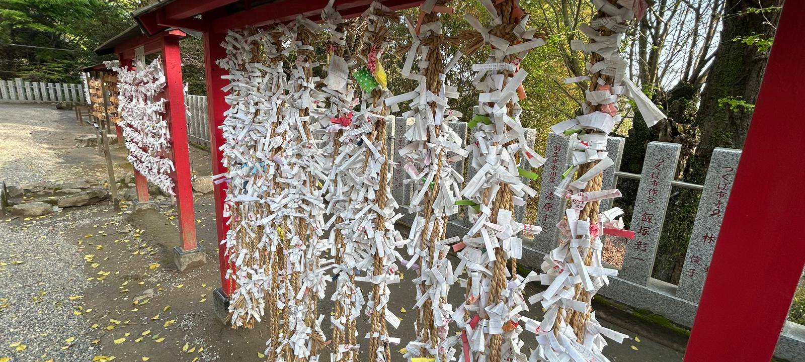 Anuschka Fritzsche in Japan