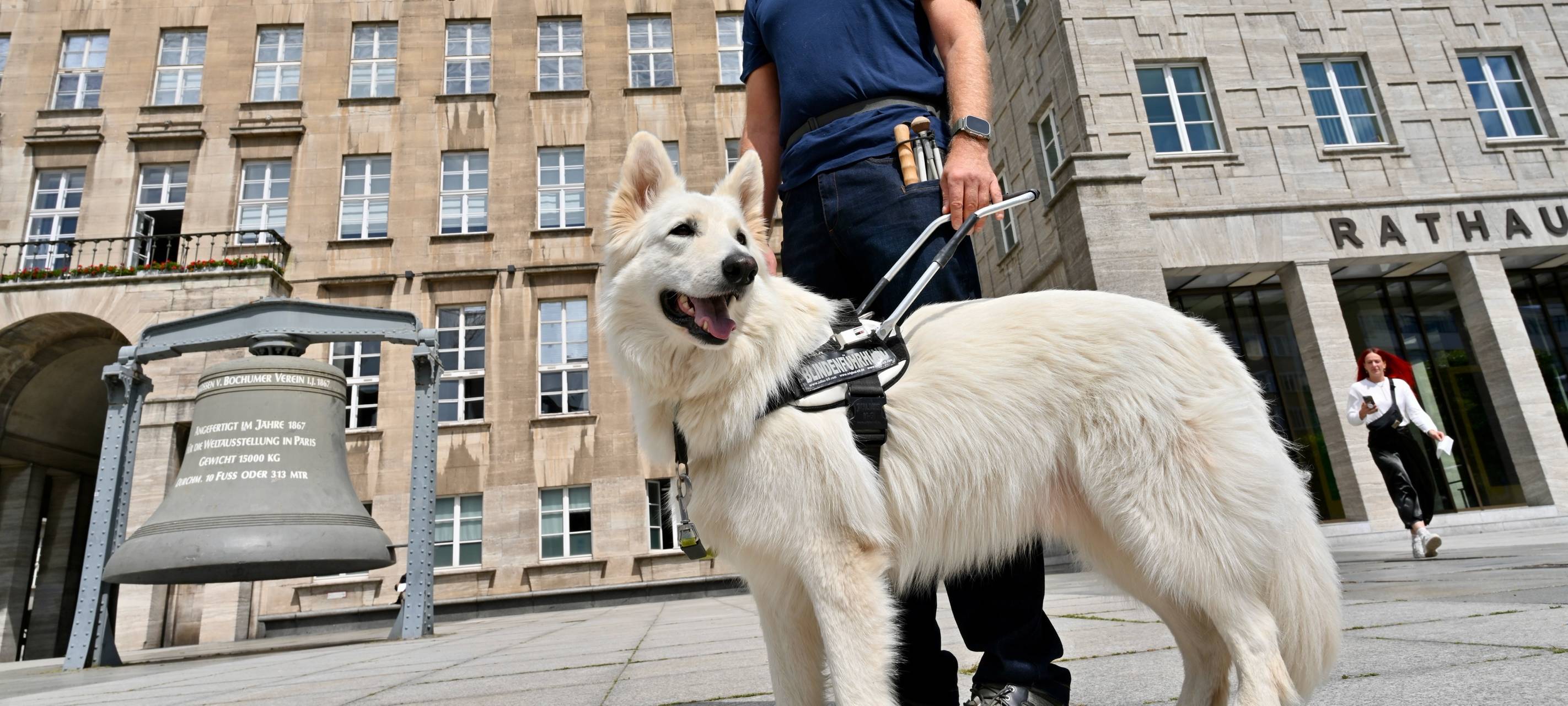 Assistenzhunde in öffentlichen Einrichtungen in Bochum