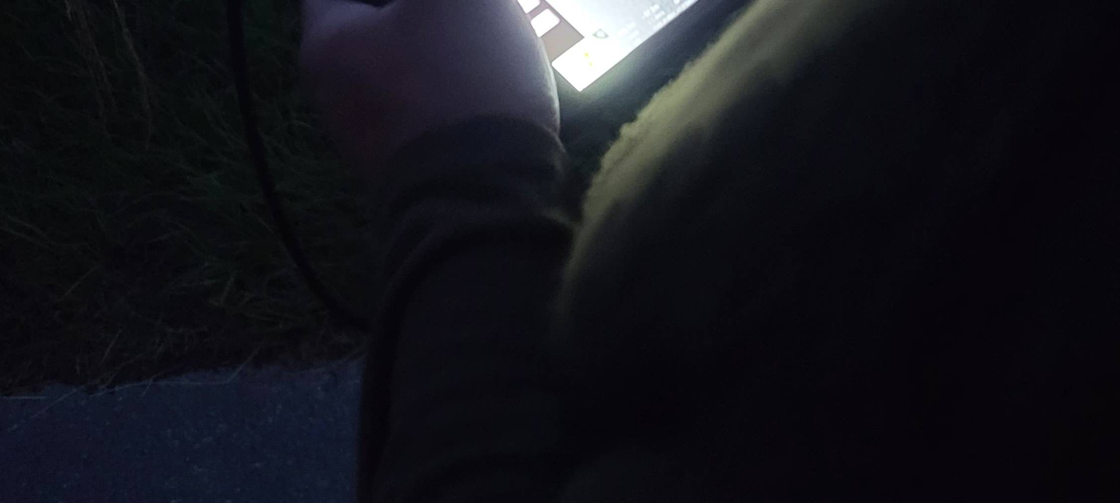 Rehkitzrettung Bochum