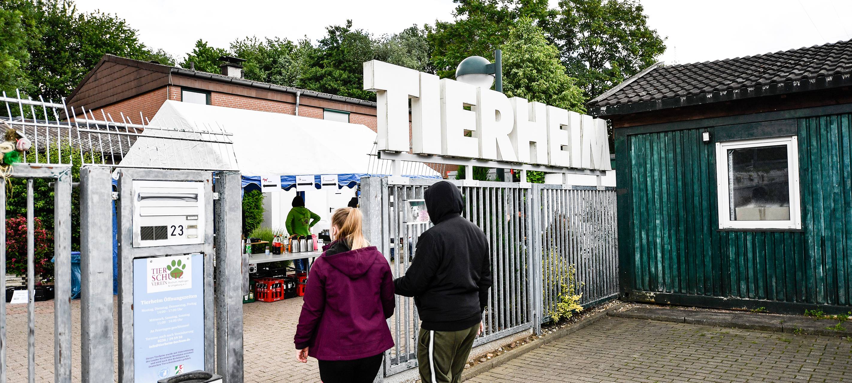 Tierheim in Bochum gibt Tipps für den Umgang mit Hunden