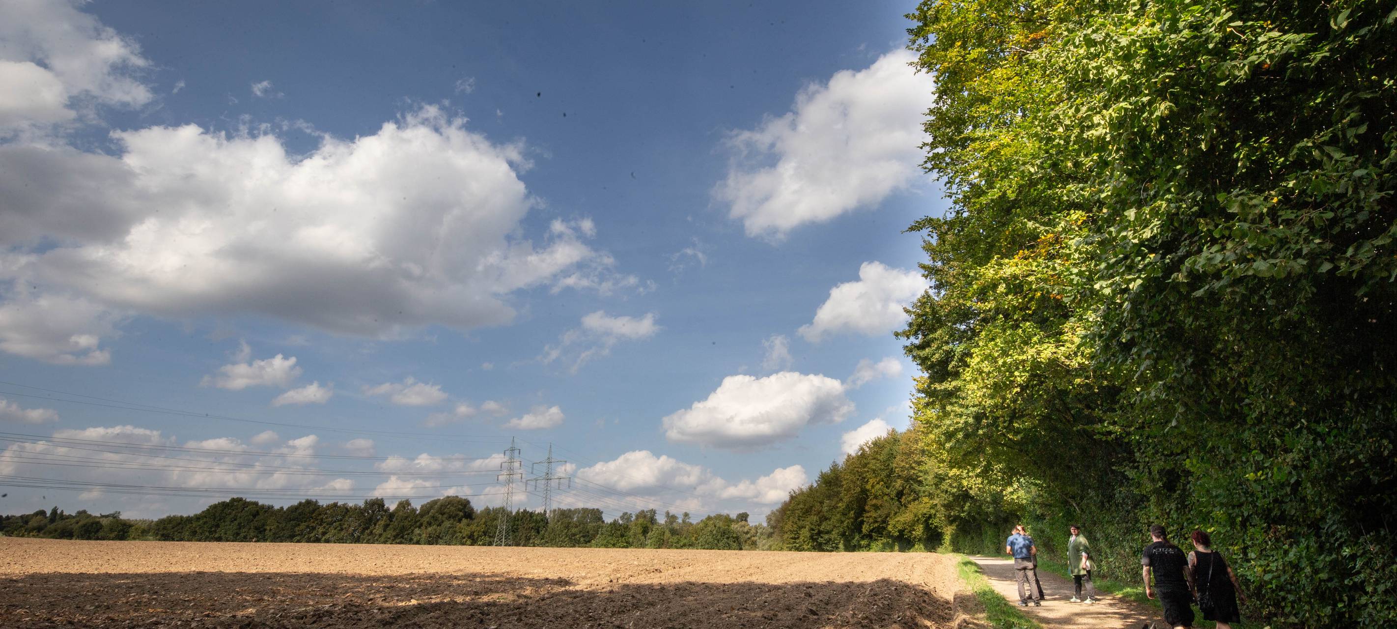Gemeinsame Strategie für den Grünzug E in Bochum