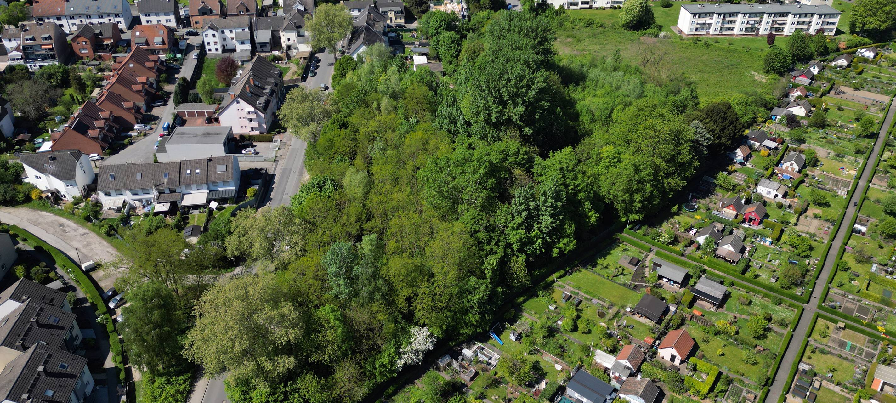 Kritik an Bauplänen in Bochum-Hamme