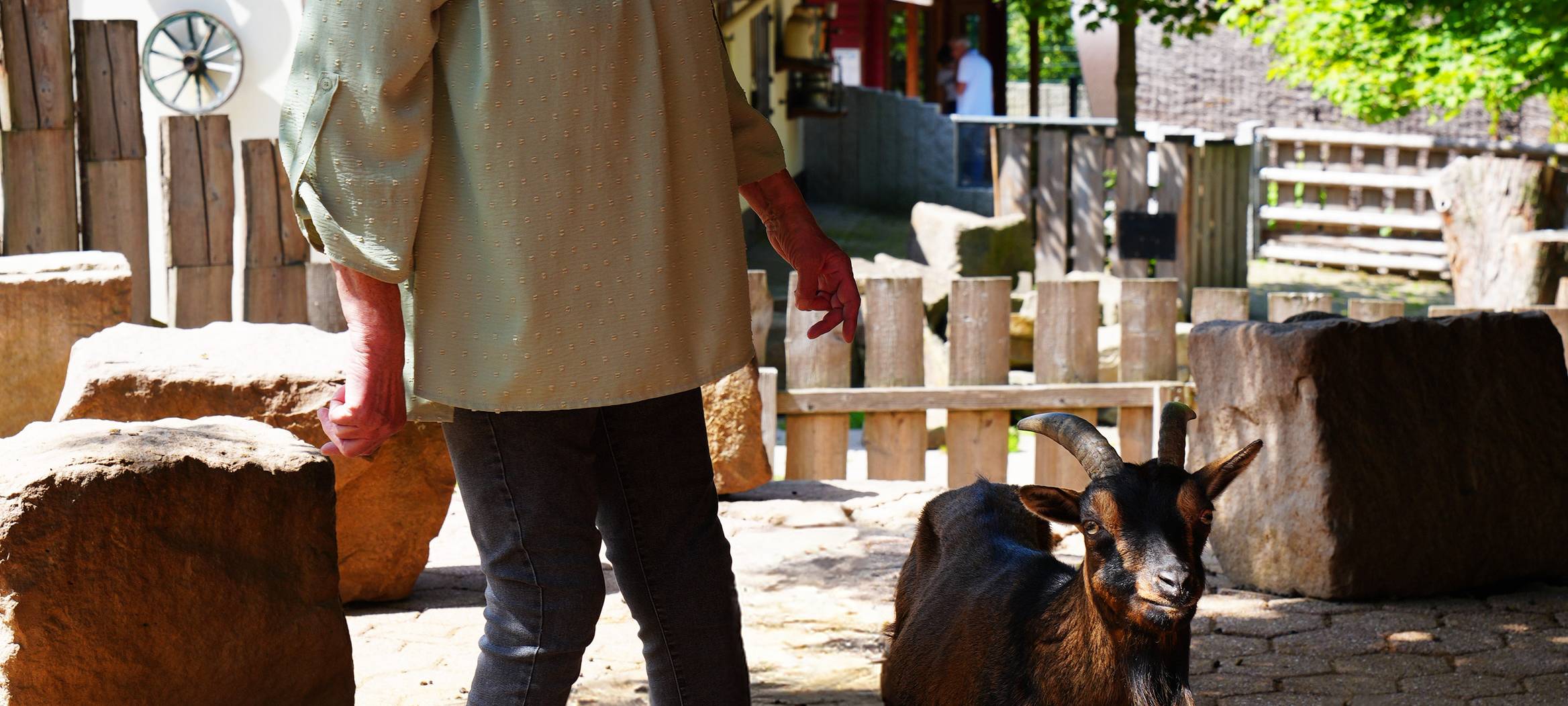 Therapie der etwas anderen Art: Mit Tieren die Sucht bekämpfen