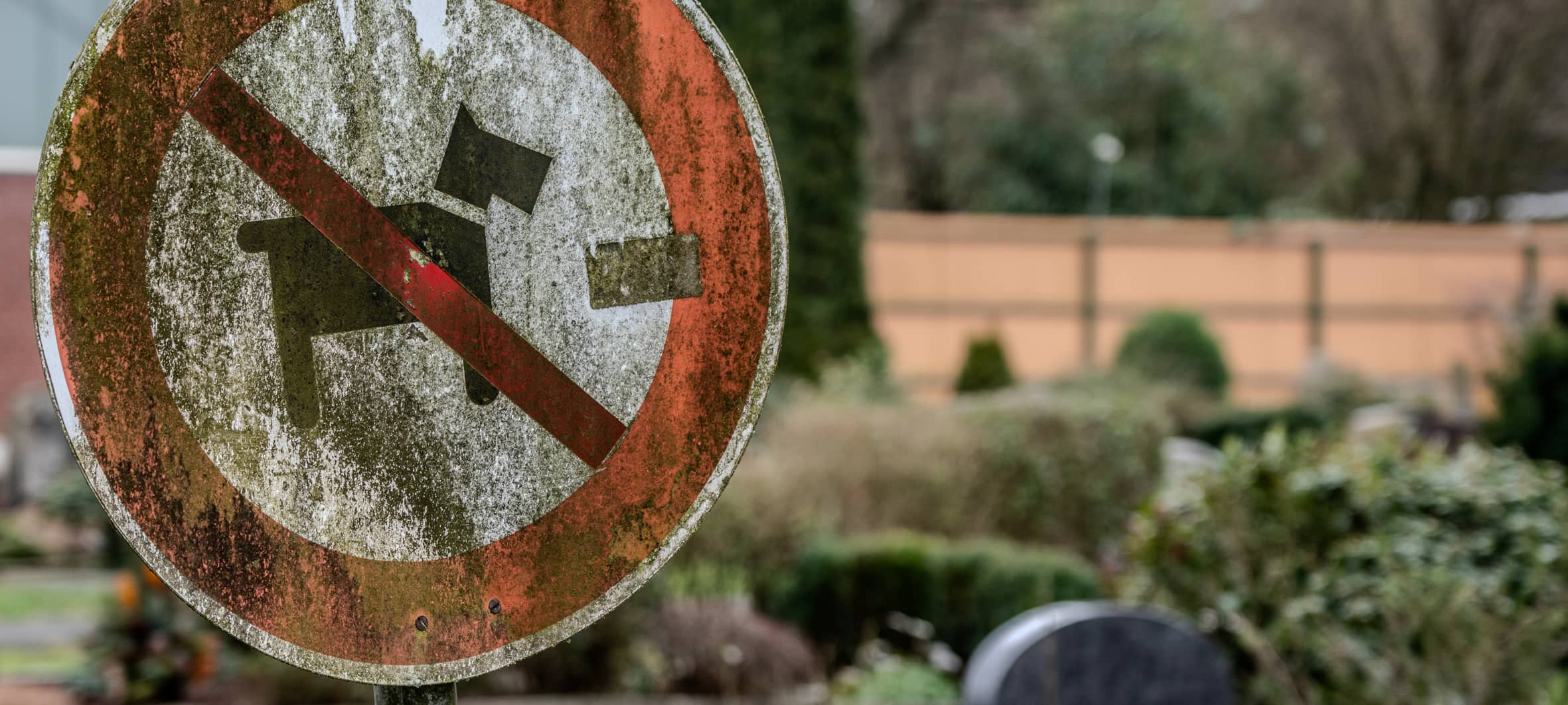Hundeverbot auf Friedhöfen in Bochum: Änderung lässt auf sich warten