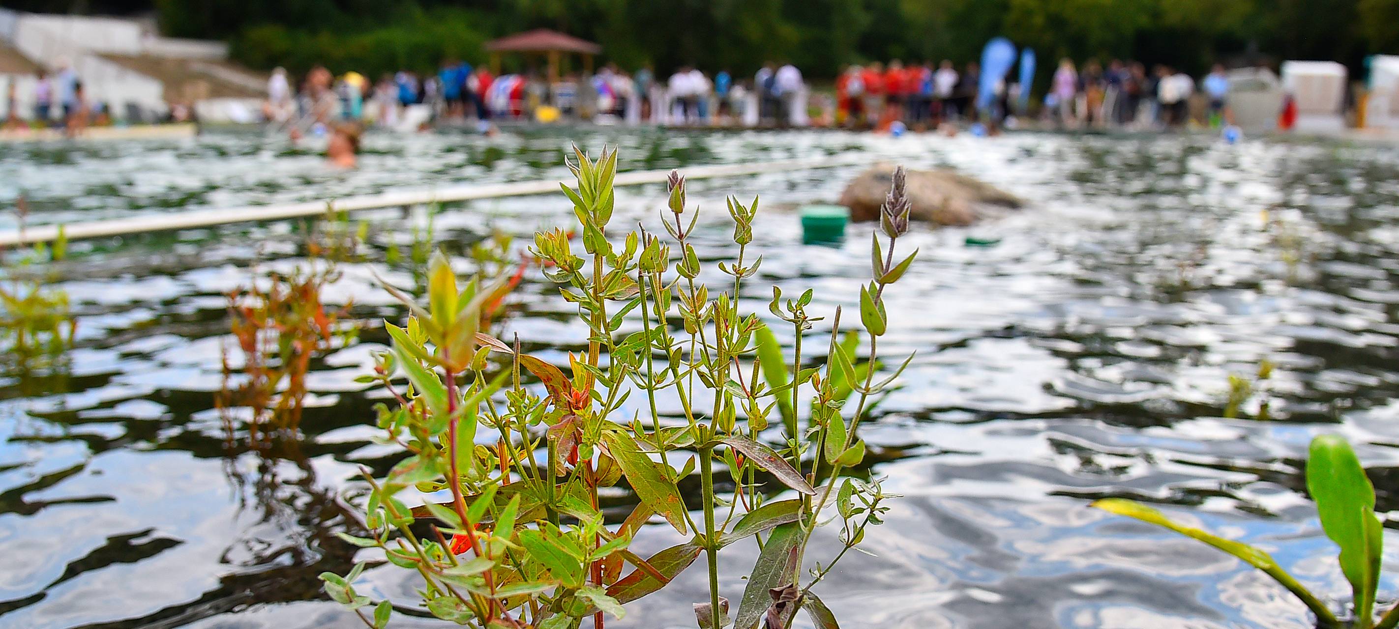 Freibadsaison in Bochum-Linden beendet