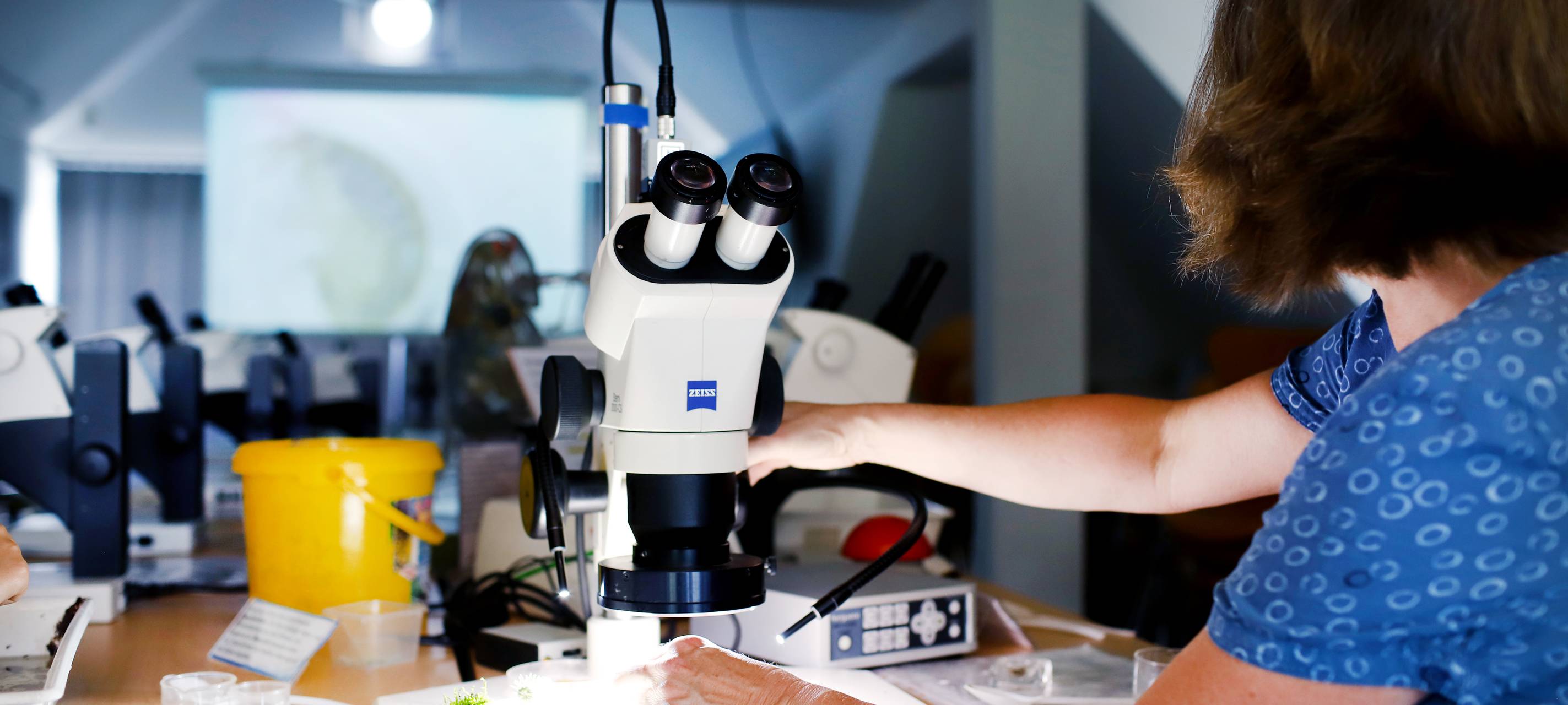 Bochum: Neue Krebstherapie