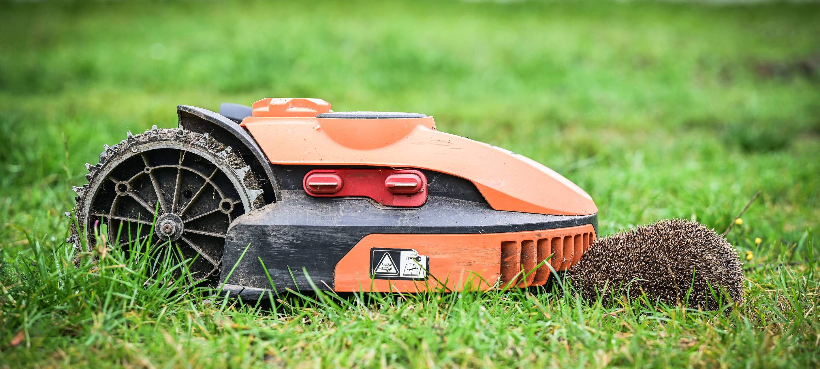 Nachtverbot für Mähroboter in Bochum