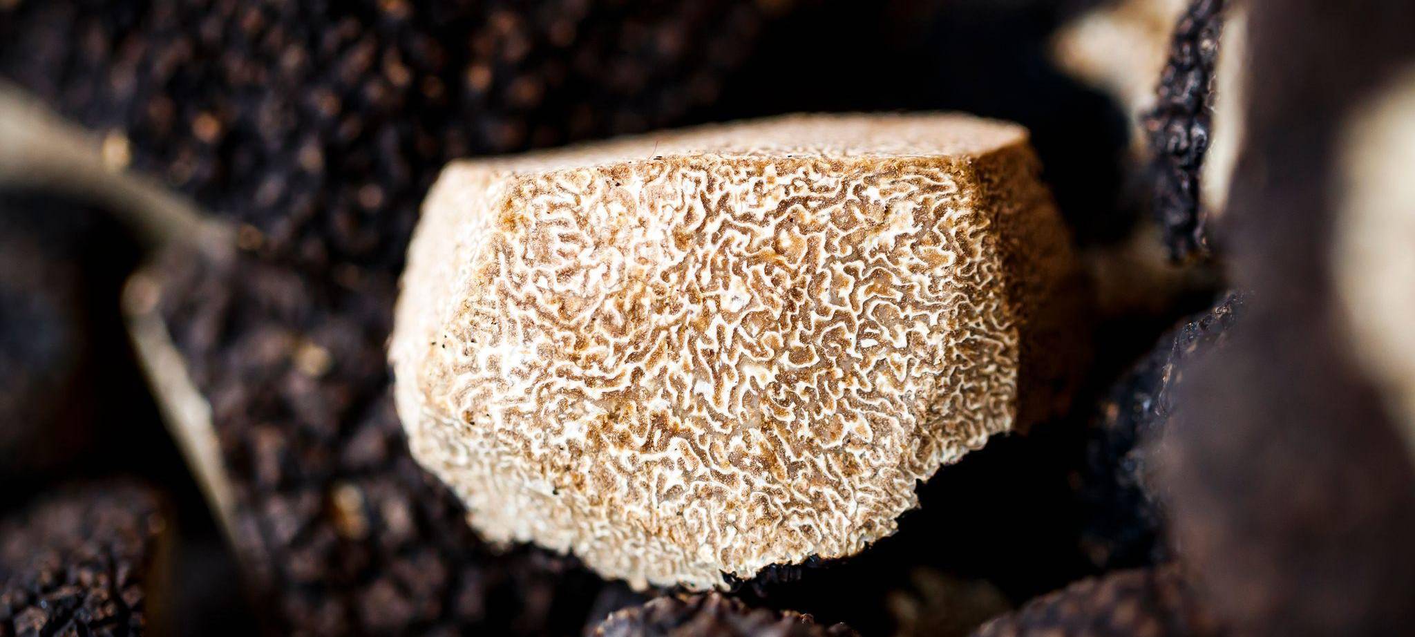 Warum Trüffel Trendfood sind