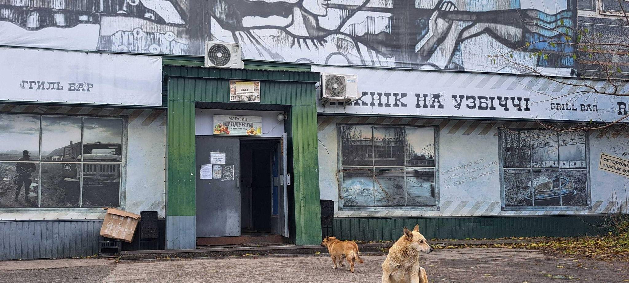 Straßenhunde in Tschernobyl