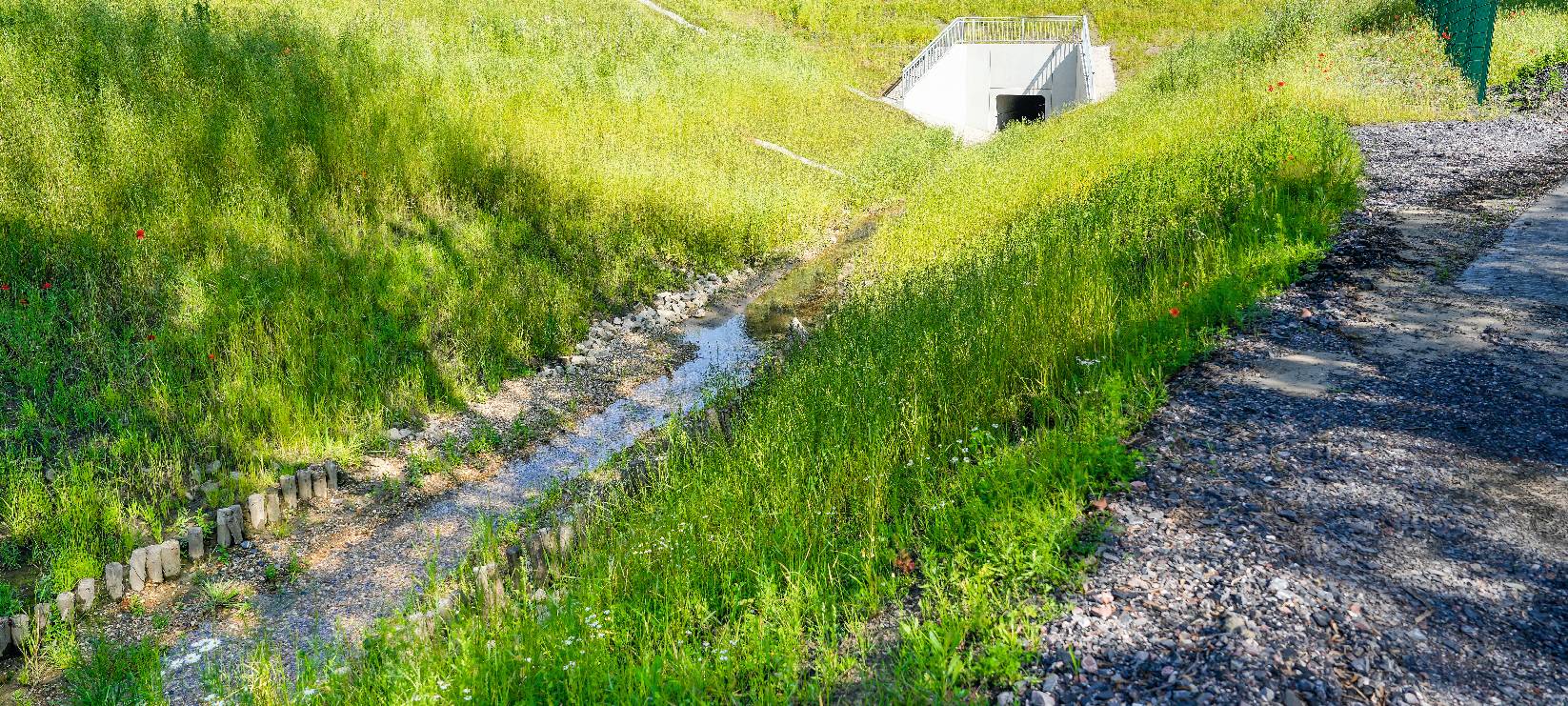 Renaturierung des Wattenscheider Bachs in Bochum