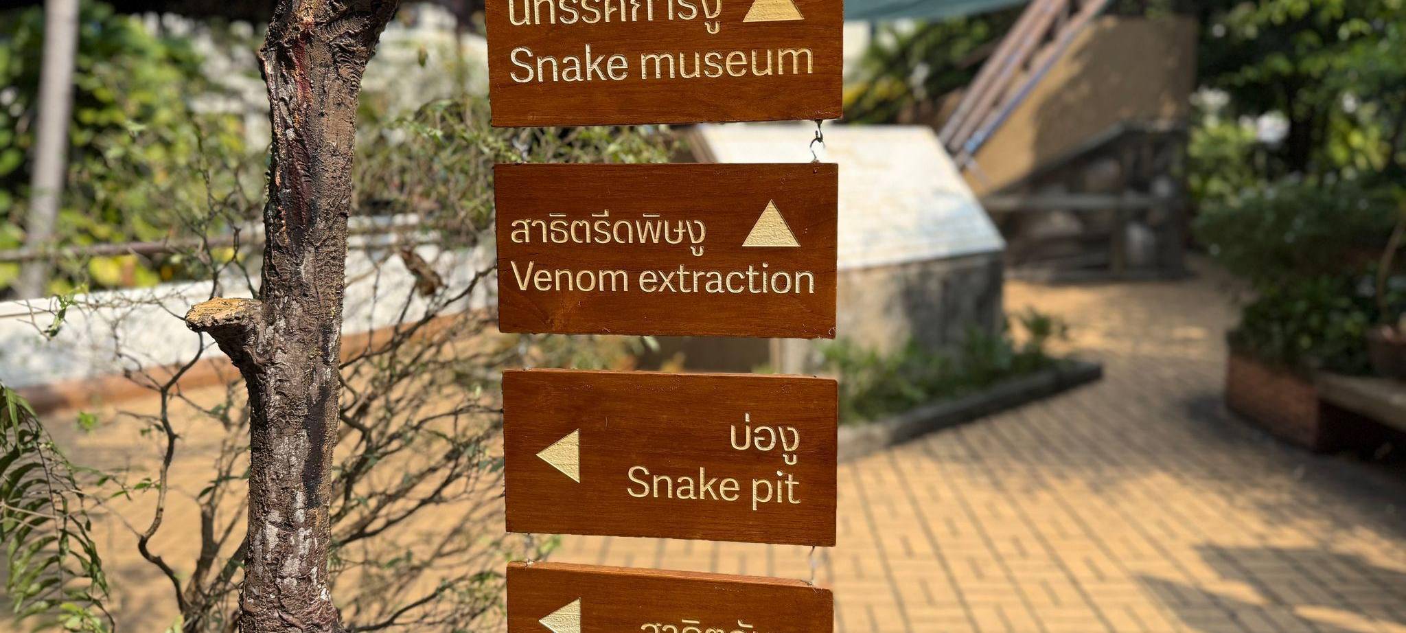 Schlangenfarm in Bangkok zur Herstellung von Antiserum