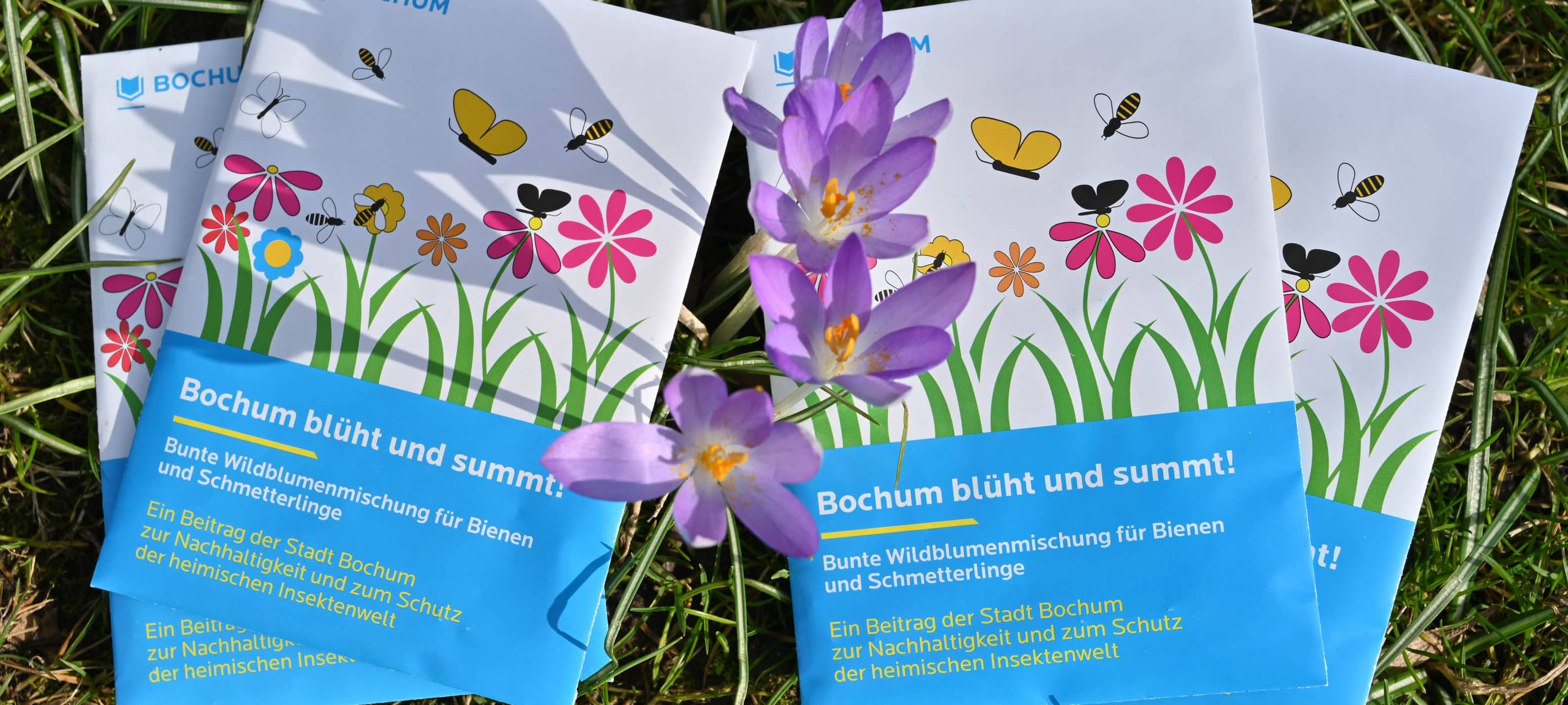 "Bochum blüht und summt" geht in die nächste Runde