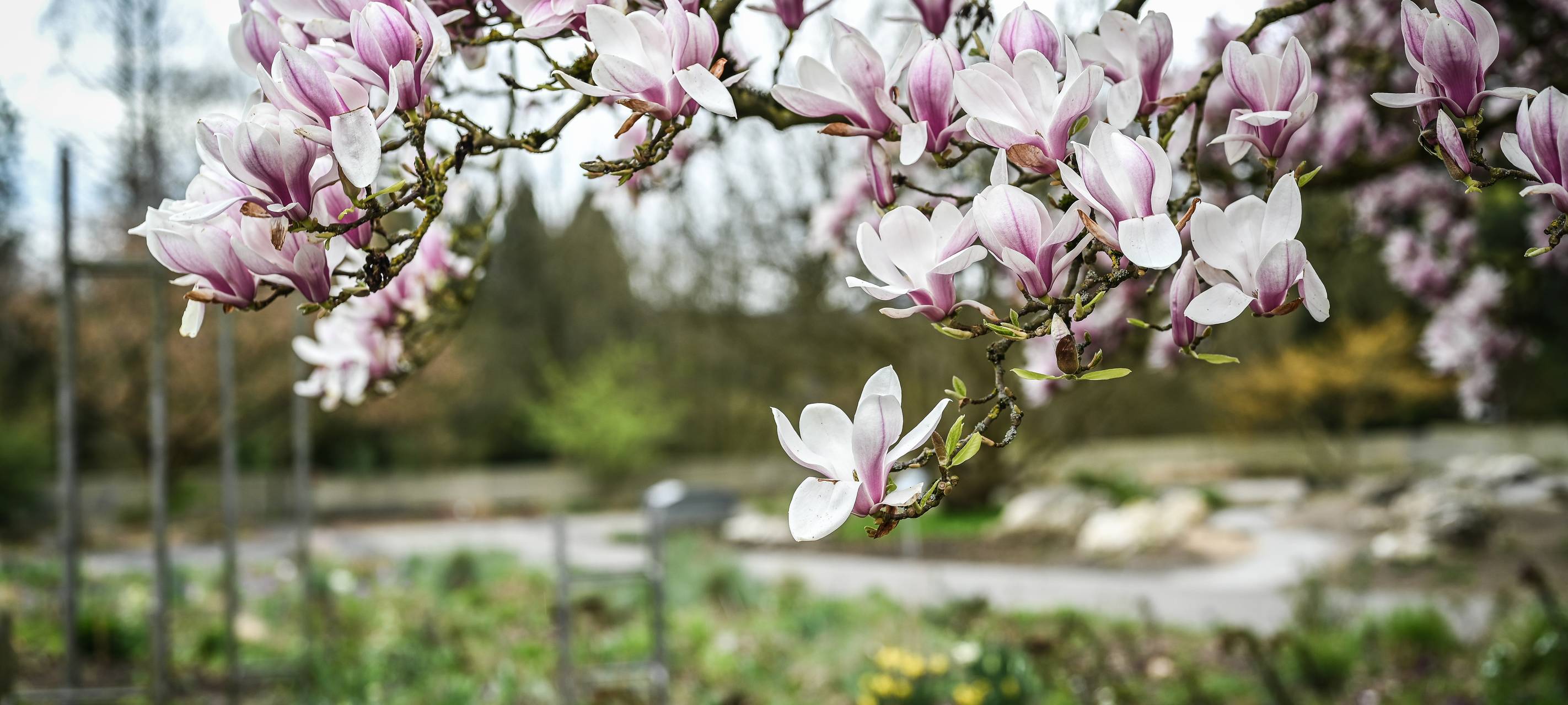 Vorbereitungen auf den Frühling in Bochum