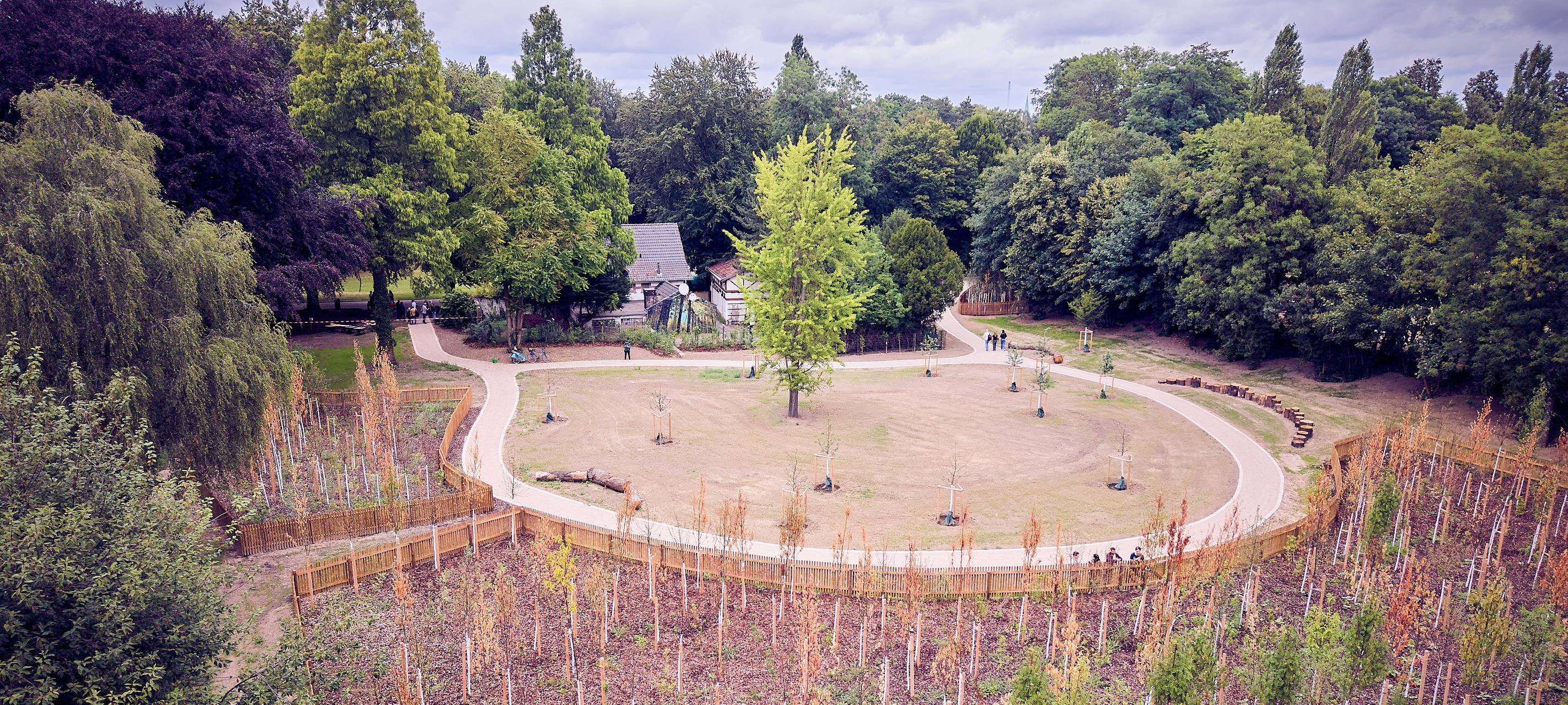 Tiny Forest: Bochum hat einen neuen Treffpunkt