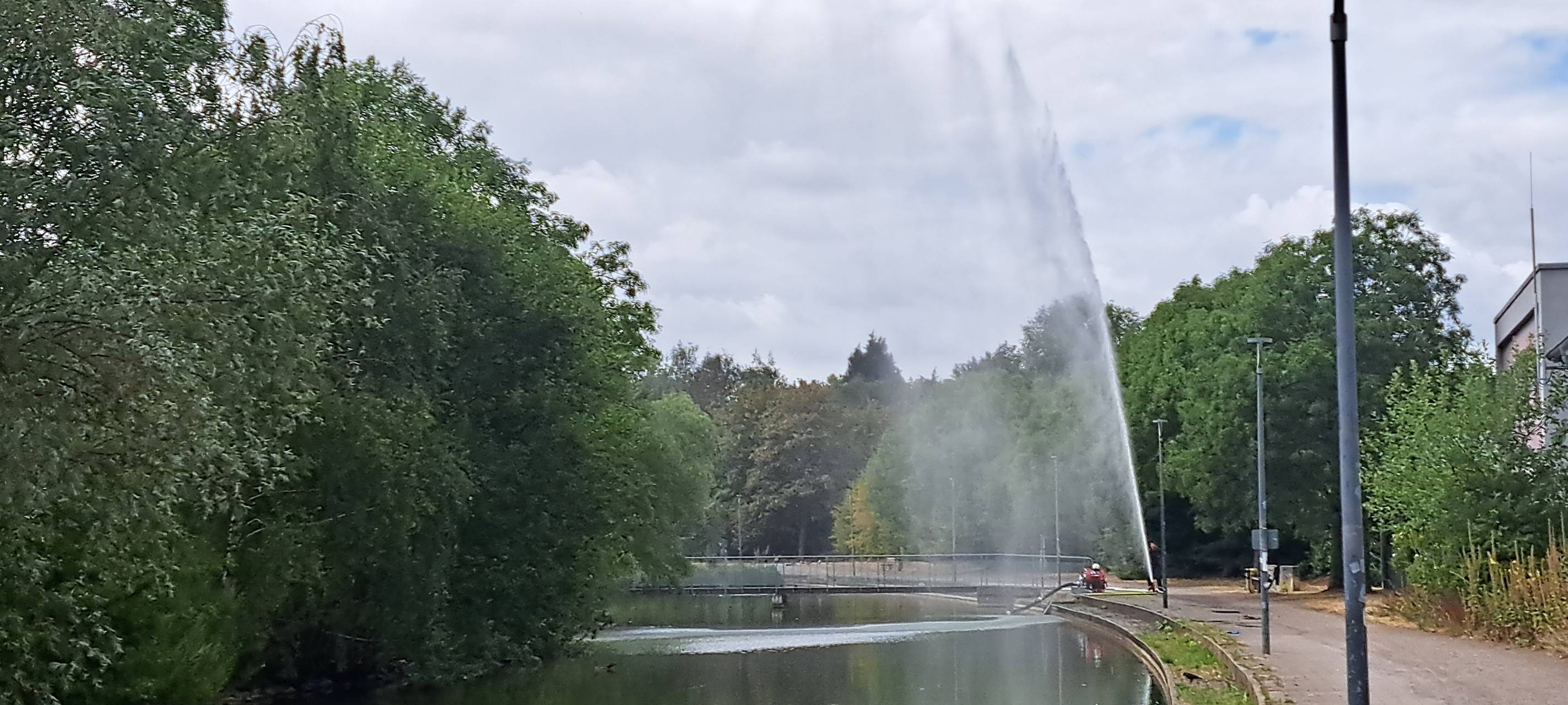 Fisch-Rettung in Bochum: Feuerwehr und Stadt verhindern Sterben