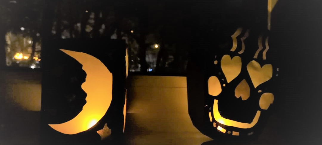 Virtueller Sankt Martinsumzug