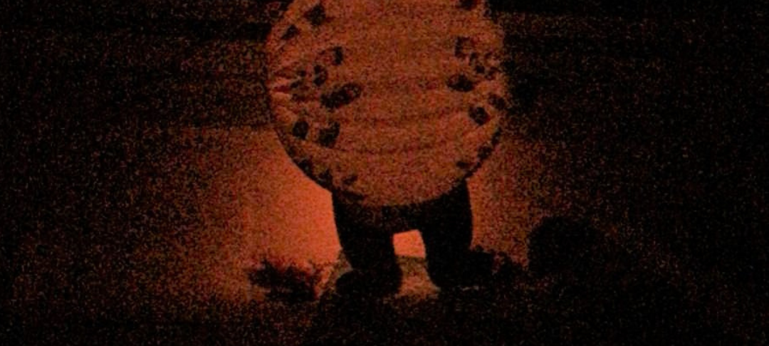 Virtueller Sankt Martinsumzug