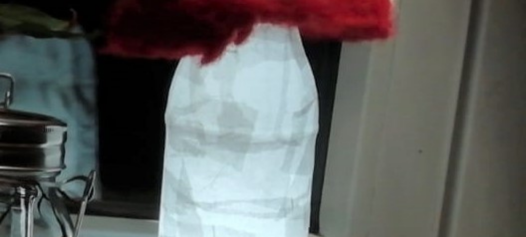 Virtueller Sankt Martinsumzug