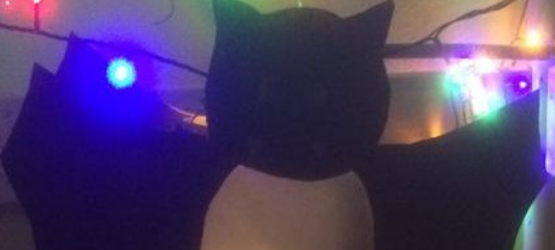 Virtueller Sankt Martinsumzug