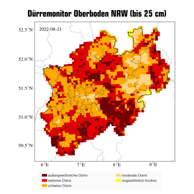 Trotz Regen: Extreme Dürre in Bochum - Radio Bochum