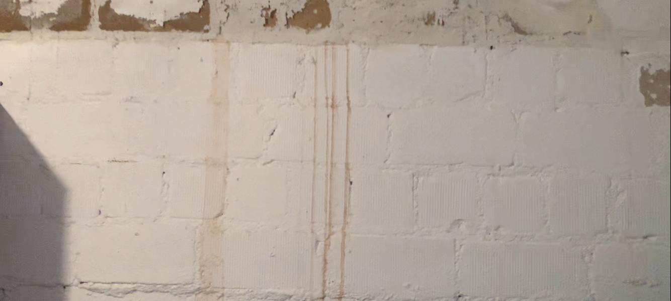 Die ersten Schäden sind im Juni sichtbar