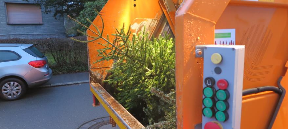Weihnachtsbäume in Bochum loswerden - so geht's