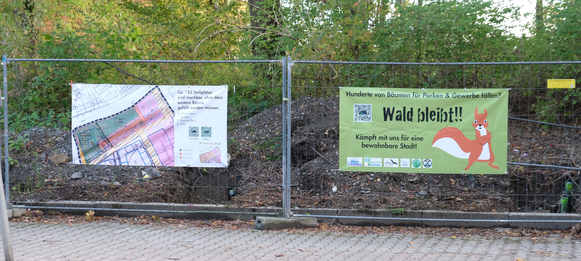 Klimabündnis Bochum startet Petition: Stadt soll Bäume und Wälder schützen